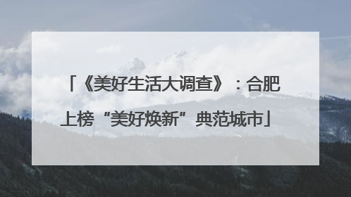 《美好生活大调查》：合肥上榜“美好焕新”典范城市