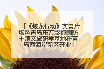 《蛟龙行动》实景片场暨青岛东方影都国防主题文旅研学基地在青岛西海岸新区开业