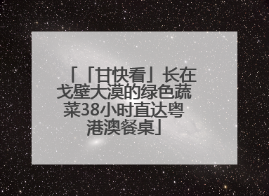 「甘快看」长在戈壁大漠的绿色蔬菜38小时直达粤港澳餐桌
