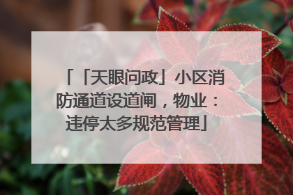 「天眼问政」小区消防通道设道闸，物业：违停太多规范管理