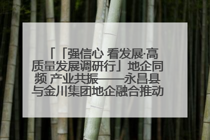 「强信心 看发展·高质量发展调研行」地企同频 产业共振——永昌县与金川集团地企融合推动重大项目建设