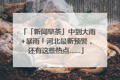 「新闻早茶」中到大雨+暴雨！河北最新预警，还有这些热点……