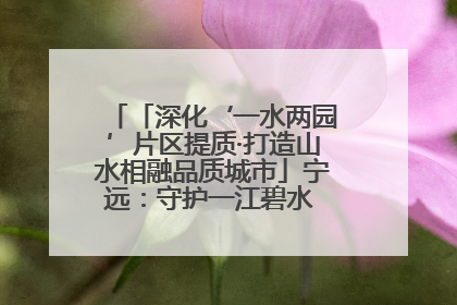 「深化‘一水两园’片区提质·打造山水相融品质城市」宁远：守护一江碧水 共享幸福河湖