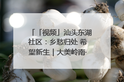 「视频」汕头东湖社区：乡愁归处 希望新生｜大美岭南·百村焕新记