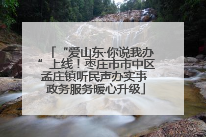 “爱山东·你说我办”上线！枣庄市市中区孟庄镇听民声办实事 政务服务暖心升级
