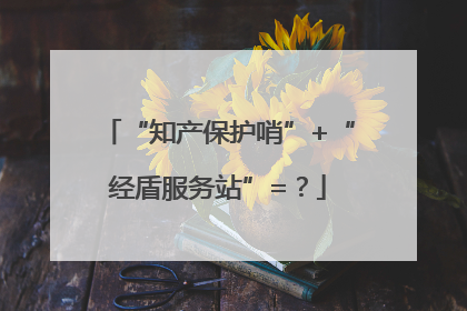 “知产保护哨”+“经盾服务站”=？