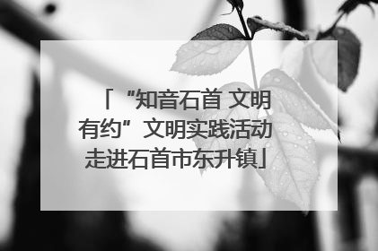 “知音石首 文明有约”文明实践活动走进石首市东升镇