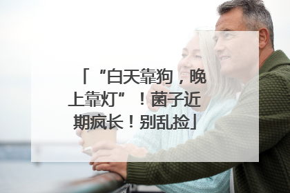 “白天靠狗，晚上靠灯”！菌子近期疯长！别乱捡