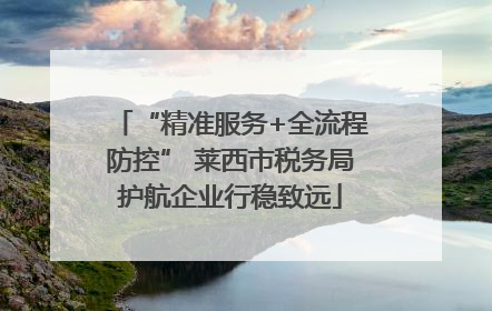 “精准服务+全流程防控” 莱西市税务局护航企业行稳致远