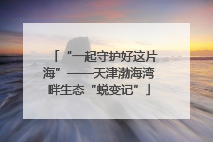 “一起守护好这片海”——天津渤海湾畔生态“蜕变记”