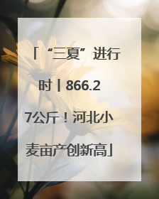 “三夏”进行时丨866.27公斤！河北小麦亩产创新高