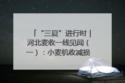 “三夏”进行时｜河北麦收一线见闻（一）：小麦机收减损“竞技” 农机高手麦田“过招”
