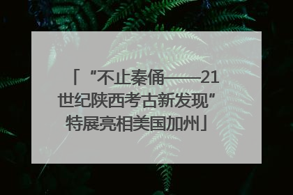 “不止秦俑——21世纪陕西考古新发现”特展亮相美国加州