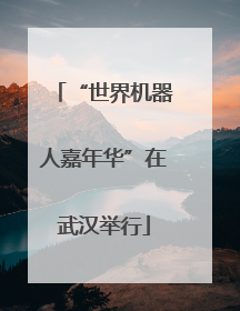 “世界机器人嘉年华”在武汉举行