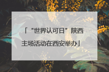 “世界认可日”陕西主场活动在西安举办