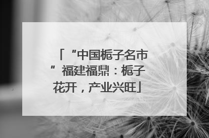 “中国栀子名市”福建福鼎：栀子花开，产业兴旺