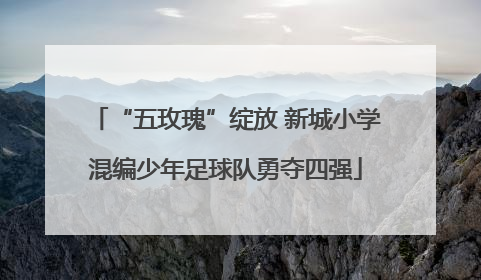 “五玫瑰”绽放 新城小学混编少年足球队勇夺四强