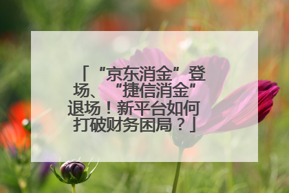 “京东消金”登场、“捷信消金”退场！新平台如何打破财务困局？