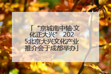 “京城南中轴·文化正大兴” 2025北京大兴文化产业推介会于成都举办