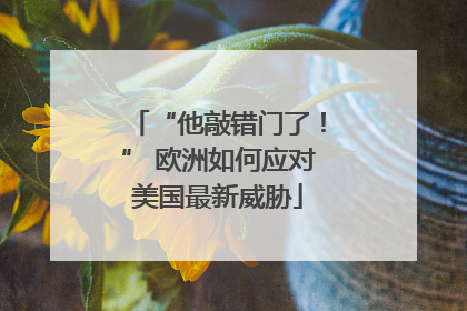“他敲错门了！” 欧洲如何应对美国最新威胁