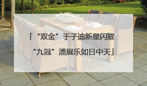 “双金”于子迪新星闪耀 “九冠”潘展乐如日中天