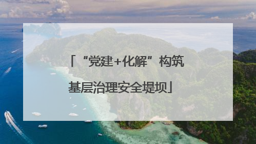 “党建+化解”构筑基层治理安全堤坝
