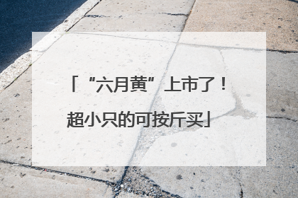 “六月黄”上市了！超小只的可按斤买