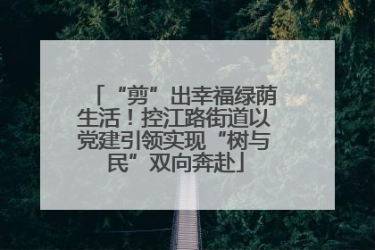 “剪”出幸福绿荫生活！控江路街道以党建引领实现“树与民”双向奔赴