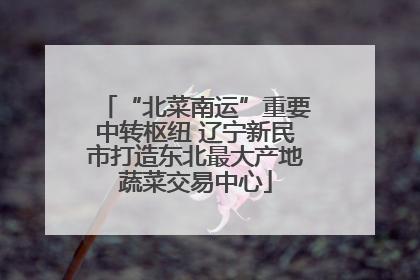 “北菜南运”重要中转枢纽 辽宁新民市打造东北最大产地蔬菜交易中心