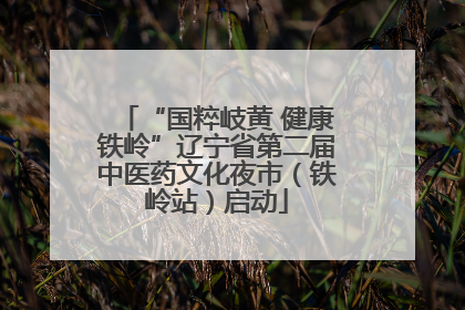 “国粹岐黄 健康铁岭”辽宁省第二届中医药文化夜市（铁岭站）启动