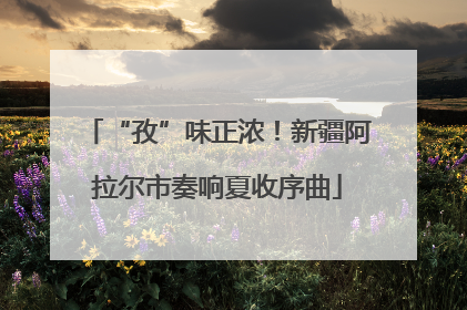 “孜”味正浓！新疆阿拉尔市奏响夏收序曲