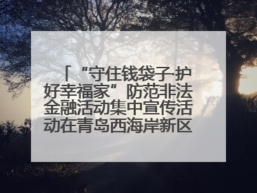 “守住钱袋子·护好幸福家”防范非法金融活动集中宣传活动在青岛西海岸新区成功举办