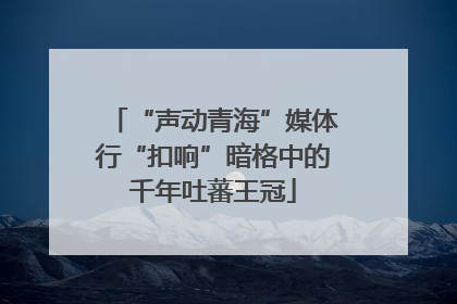 “声动青海”媒体行“扣响”暗格中的千年吐蕃王冠