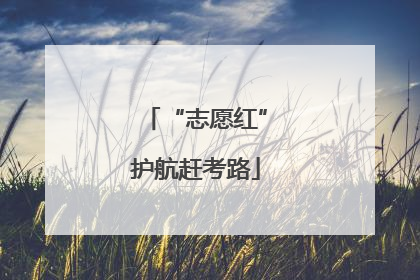 “志愿红”护航赶考路