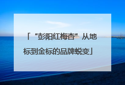 “彭阳红梅杏”从地标到金标的品牌蜕变