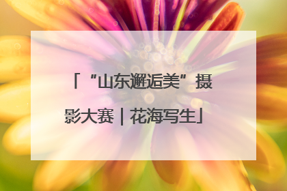 “山东邂逅美”摄影大赛｜花海写生