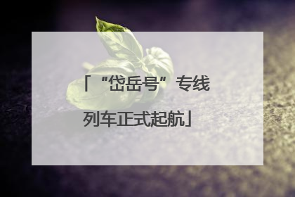 “岱岳号”专线列车正式起航