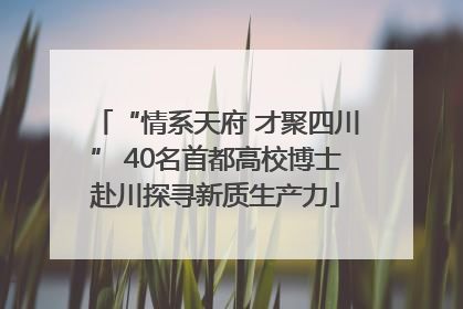 “情系天府 才聚四川” 40名首都高校博士赴川探寻新质生产力