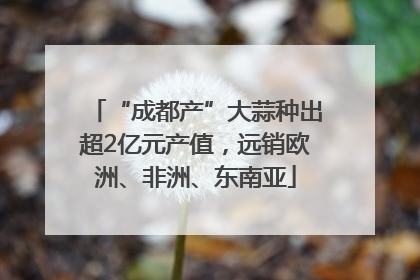 “成都产”大蒜种出超2亿元产值，远销欧洲、非洲、东南亚