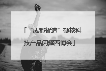 “成都智造”硬核科技产品闪耀西博会
