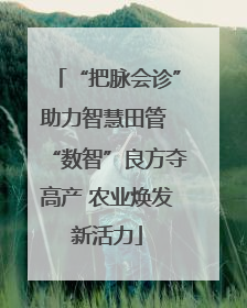 “把脉会诊”助力智慧田管 “数智”良方夺高产 农业焕发新活力