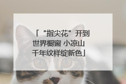 “指尖花”开到世界橱窗 小凉山千年纹样绽新色