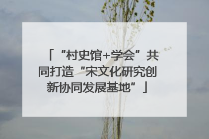 “村史馆+学会”共同打造“宋文化研究创新协同发展基地”