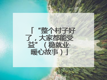 “整个村子好了，大家都能受益”（稳就业·暖心故事）