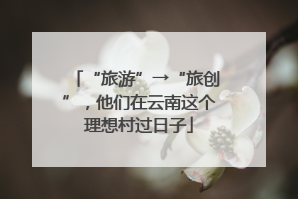 “旅游”→“旅创”，他们在云南这个理想村过日子