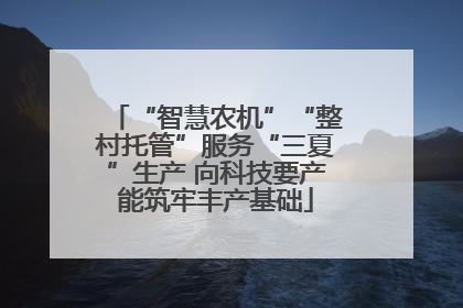 “智慧农机”“整村托管”服务“三夏”生产 向科技要产能筑牢丰产基础