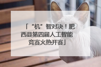 “机”智对决！肥西县第四届人工智能竞赛火热开赛