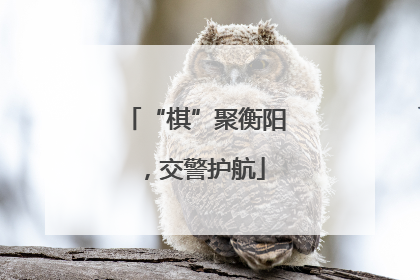 “棋”聚衡阳，交警护航