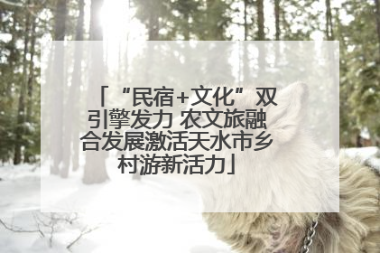 “民宿+文化”双引擎发力 农文旅融合发展激活天水市乡村游新活力