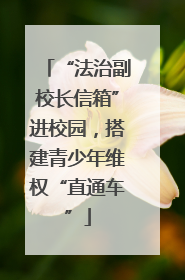 “法治副校长信箱”进校园，搭建青少年维权“直通车”
